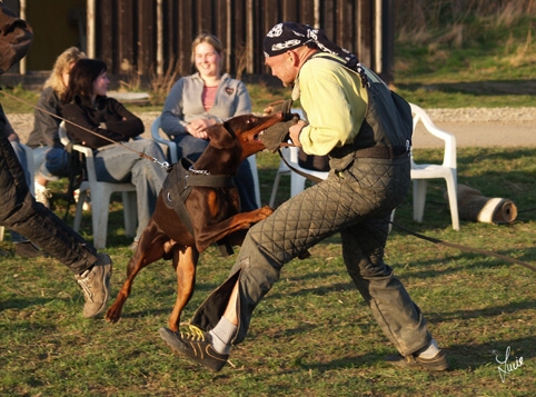 Training in Prague 3/2007